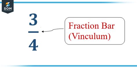 what is a vinculum